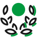 icons8 couronne de laurier 75