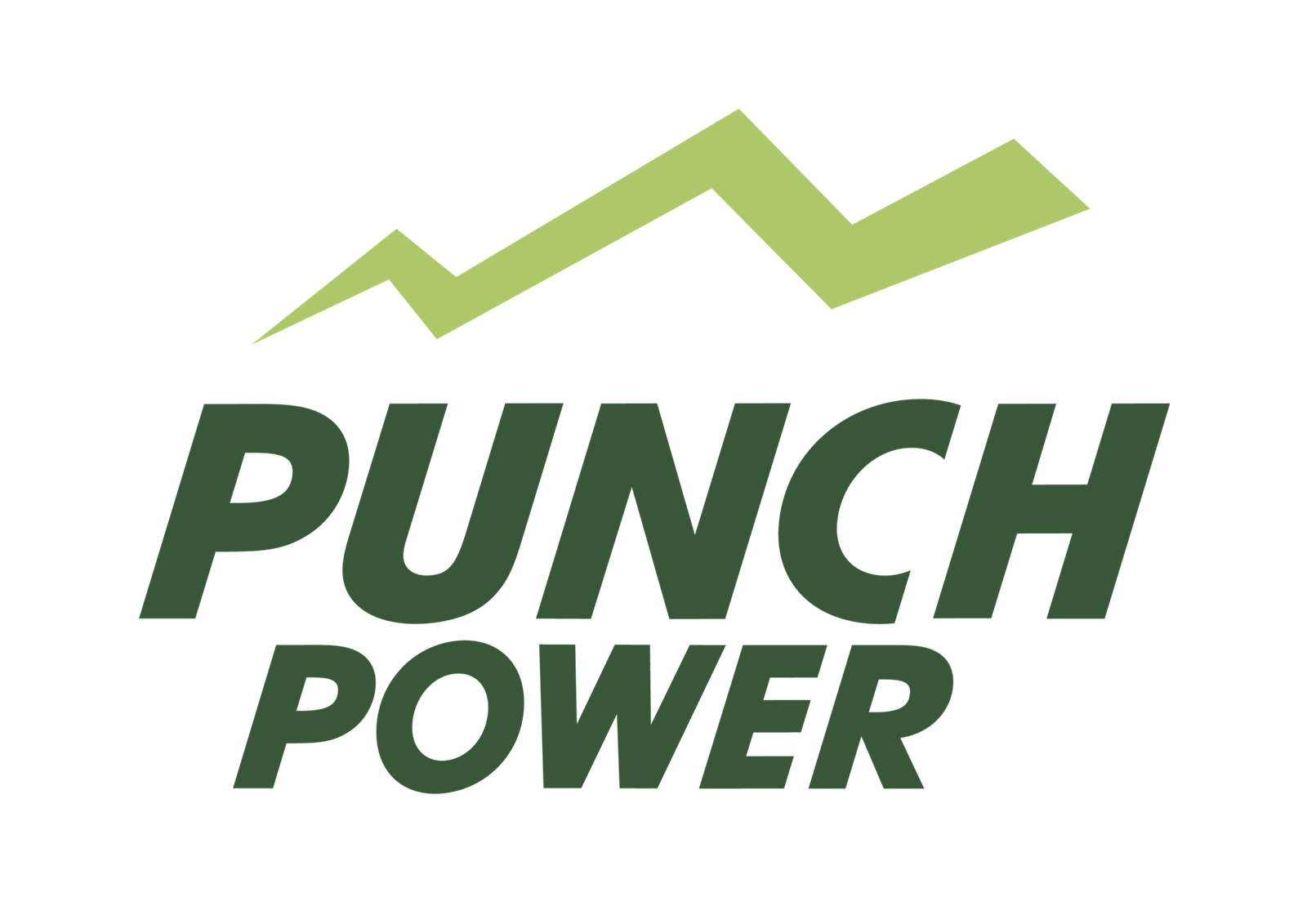 LOGO PUNCH POWER